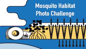 Stylized image of mosquito habitats and land cover