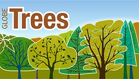 GLOBE Observer Trees logo showing several types of trees in an illustrative style.
